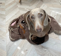 AANGEPAST HUISDIERENKLEED - Gecapitonneerd tapijt - Gepersonaliseerd portret van een huisdierhond, aangepaste woonaccessoires