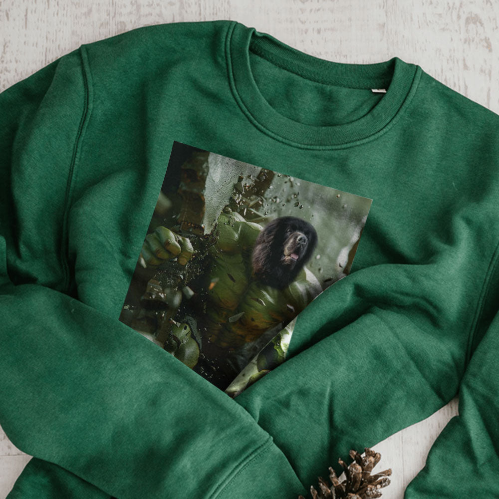 Super-héros, portraits de chiens personnalisés, sweat-shirts avec portraits d'animaux, cadeaux amusants pour les amoureux des animaux, art animalier