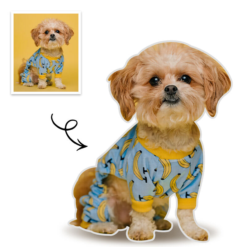 Gepersonaliseerde fotokussen voor het hele lichaam van een huisdier, 3D-portretkussen, grappig cadeau voor een hond
