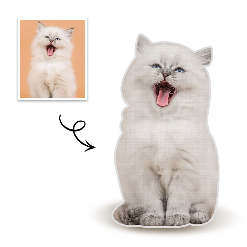 Aangepast huisdierfotokussen met volledige lichaamsfoto, 3D-portretkussen, kattencadeau voor een vriend