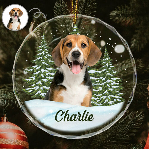 Décorations de Noël personnalisées Photos d'animaux de compagnie personnalisées Cadeaux de Noël mignons