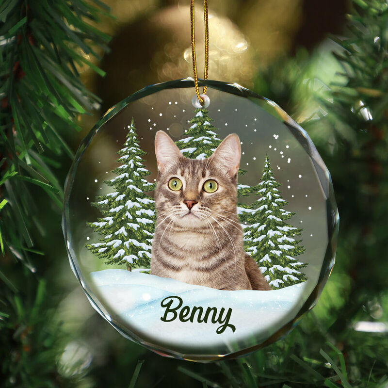 Décorations de Noël personnalisées Photos d'animaux de compagnie personnalisées Cadeaux de Noël mignons