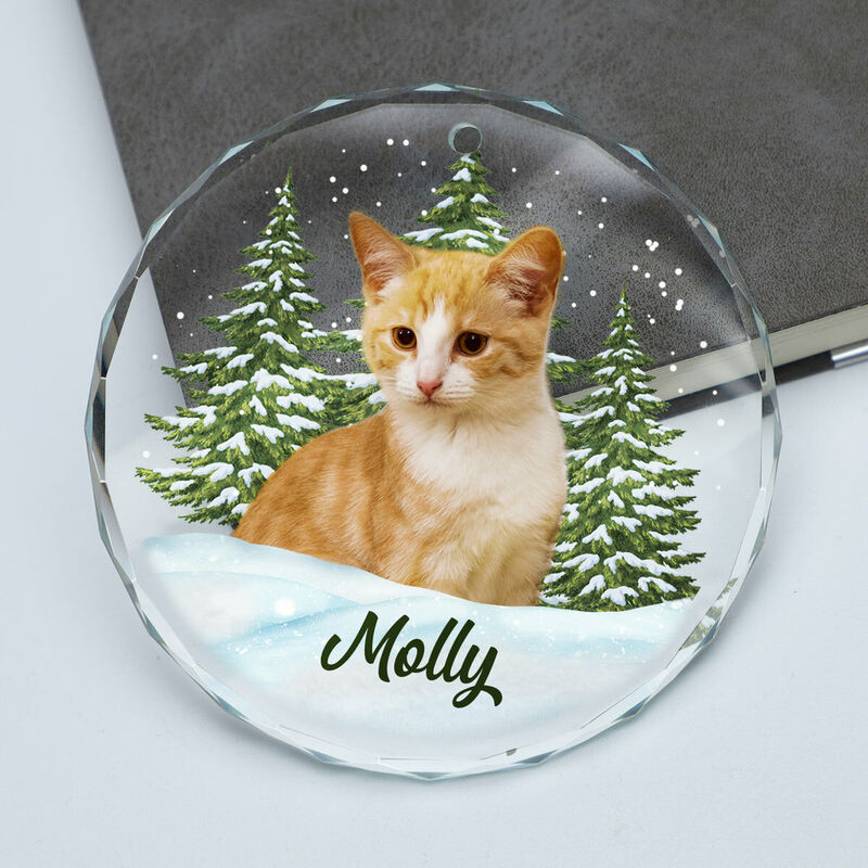 Décorations de Noël personnalisées Photos d'animaux de compagnie personnalisées Cadeaux de Noël mignons