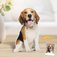 Gepersonaliseerde Bobble Head Acryl Stand Aangepaste Huisdierfoto Autodecoratie Aantrekkelijk Cadeau voor Dierenliefhebbers