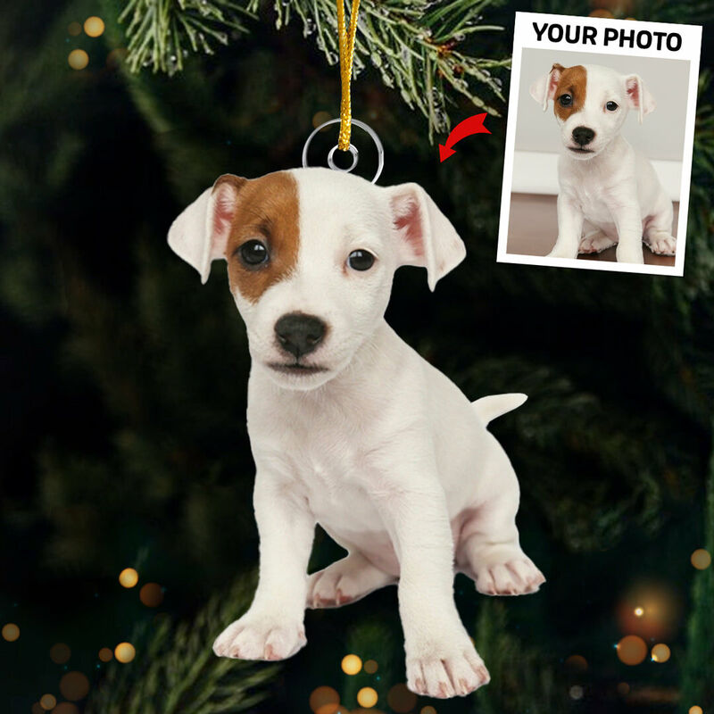 Décorations de Noël personnalisées avec photos d'animaux de compagnie personnalisées pour les amoureux des animaux