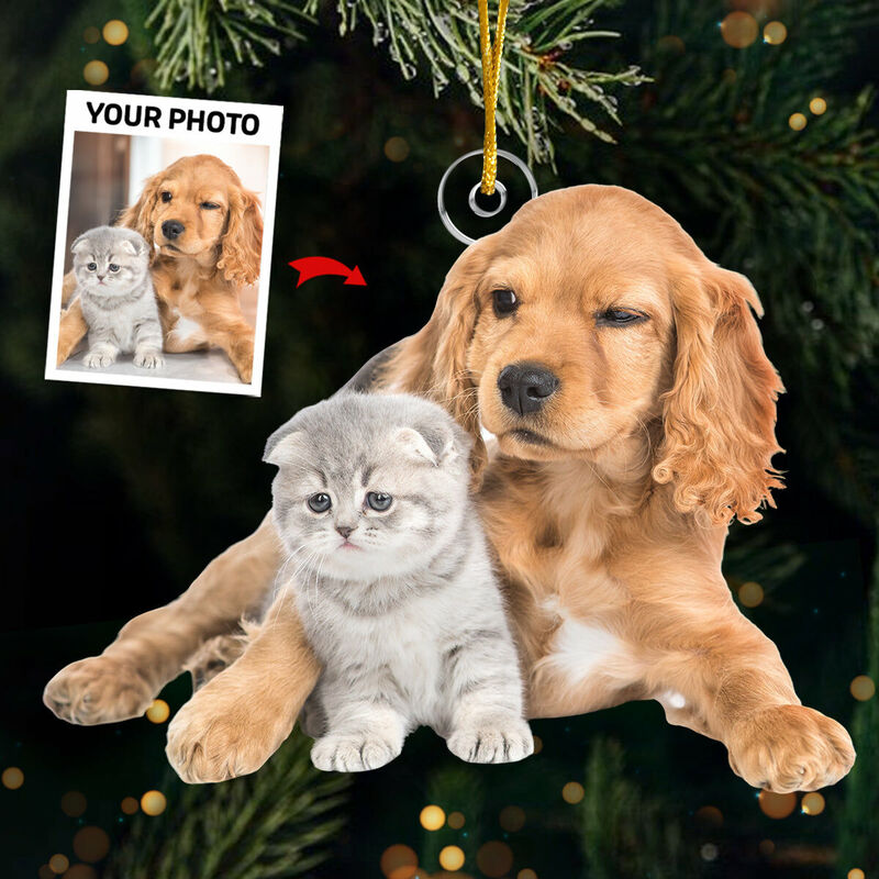 Décorations de Noël personnalisées avec photos d'animaux de compagnie personnalisées pour les amoureux des animaux