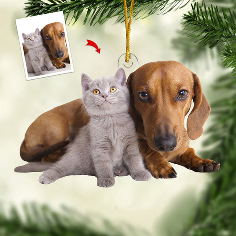Décorations de Noël personnalisées avec photos d'animaux de compagnie personnalisées pour les amoureux des animaux