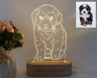 Fotolijnlamp, gepersonaliseerde lamp