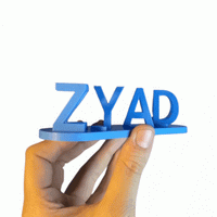 Dubbele naam illusie liefde 3D geprint cadeau
