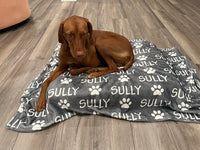Couverture personnalisée avec empreinte de patte pour animal de compagnie, couverture personnalisée pour chien, couverture en peluche, couverture personnalisée pour chiot, couverture pour lit pour chien, cadeau pour amoureux des animaux