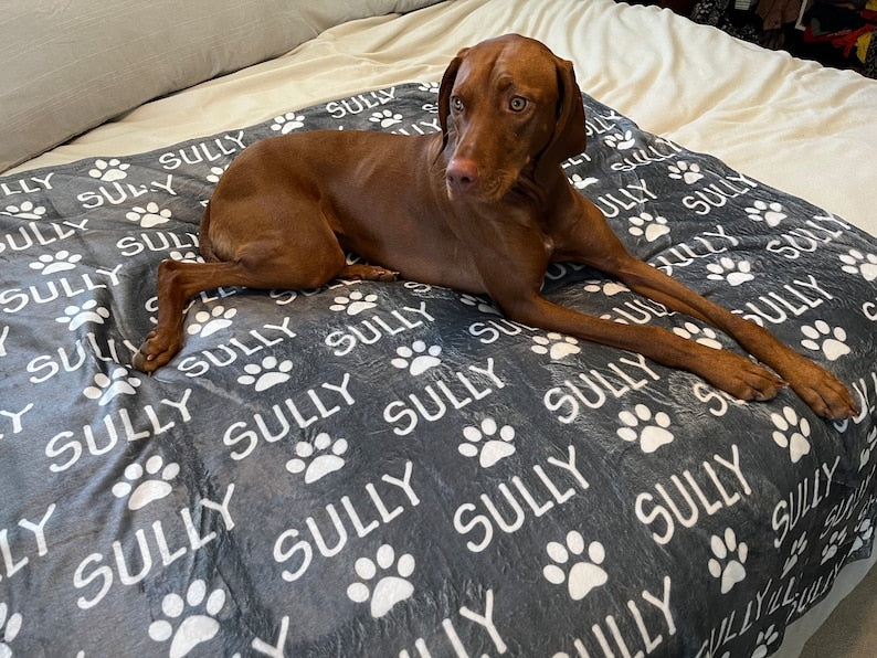 Couverture personnalisée avec empreinte de patte pour animal de compagnie, couverture personnalisée pour chien, couverture en peluche, couverture personnalisée pour chiot, couverture pour lit pour chien, cadeau pour amoureux des animaux