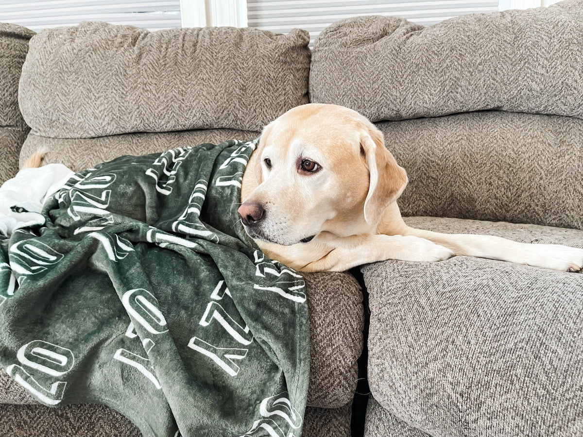Gepersonaliseerde deken voor hond, hondendeken, pluchen hondendeken, hondendeken met naam, cadeau voor hondenliefhebbers, puppydeken met naam, cadeau voor nieuwe puppy