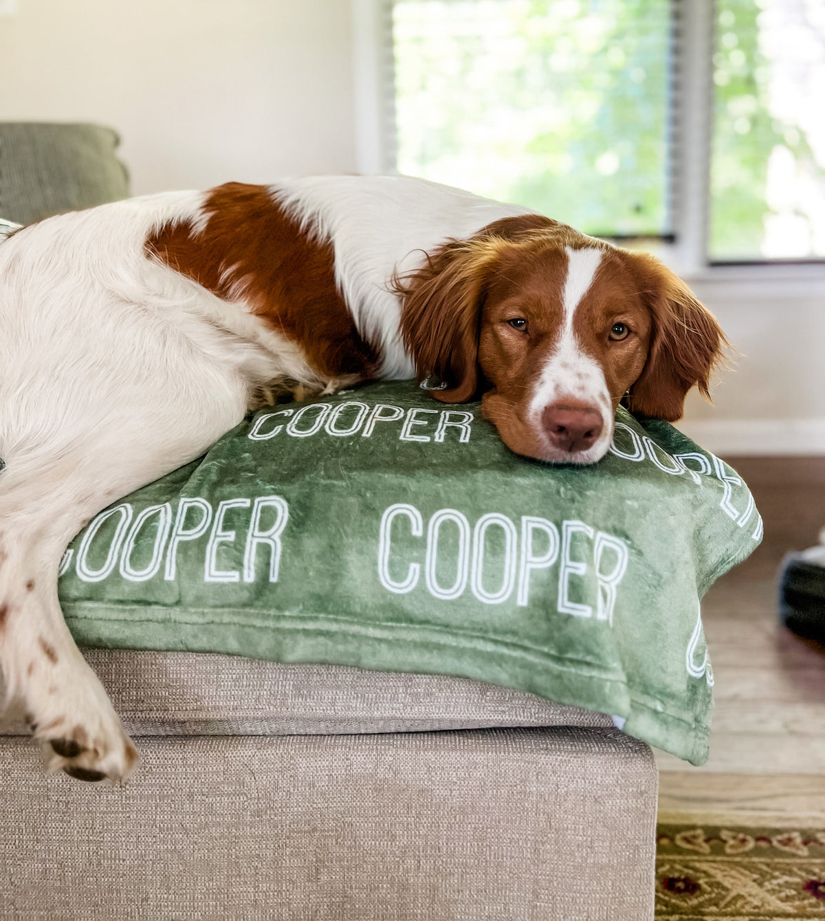 Gepersonaliseerde deken voor hond, hondendeken, pluchen hondendeken, hondendeken met naam, cadeau voor hondenliefhebbers, puppydeken met naam, cadeau voor nieuwe puppy