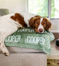 Gepersonaliseerde deken voor hond, hondendeken, pluchen hondendeken, hondendeken met naam, cadeau voor hondenliefhebbers, puppydeken met naam, cadeau voor nieuwe puppy