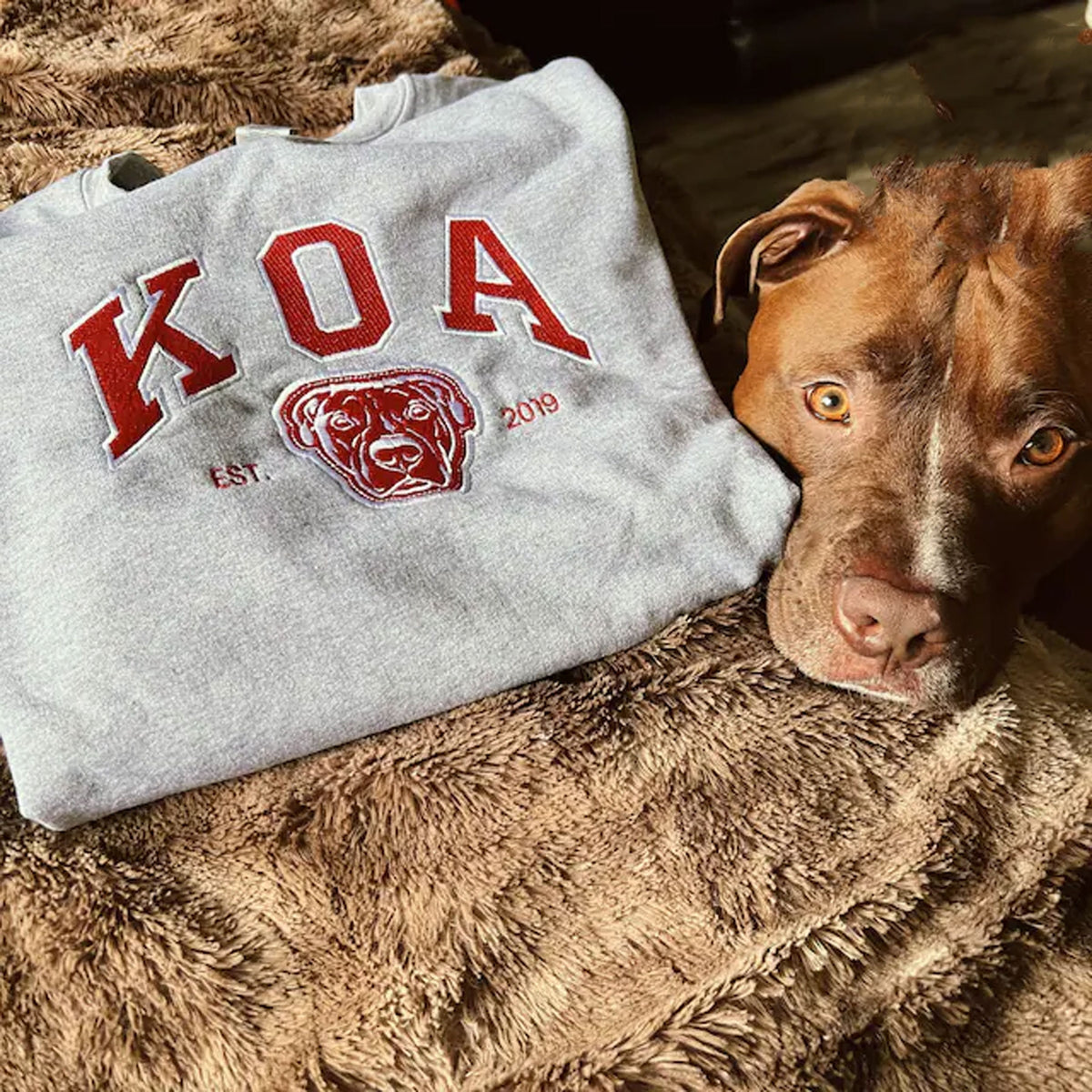 Sweat-shirt personnalisé avec photo de votre chien, sweat-shirt personnalisé avec nom de chien brodé, cadeau pour les amoureux des chiens