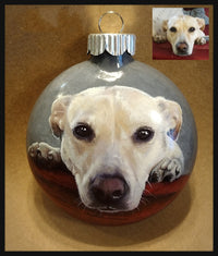 Handgeschilderd individueel huisdierportret op onbreekbaar of glazen ornament