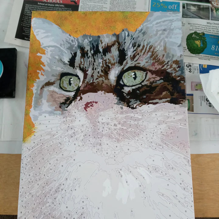 Aangepaste verf op nummer