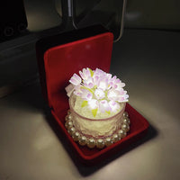 DIY Tulpenpot Nachtlampje, Creatieve Verjaardagscadeaus voor Vriendin