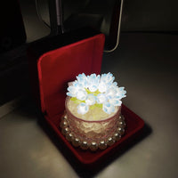 DIY Tulpenpot Nachtlampje, Creatieve Verjaardagscadeaus voor Vriendin
