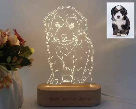 Foto-Linienlicht, personalisierte Lampe