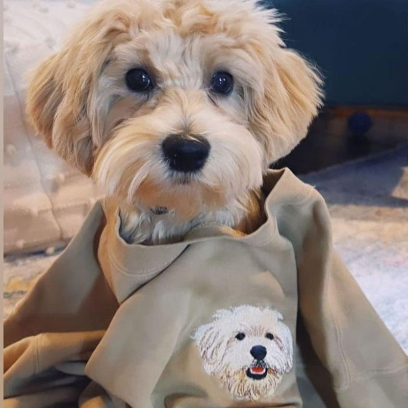 Weihnachtsgeschenke Personalisiertes Sweatshirt mit Haustiergesicht Haustiernamen