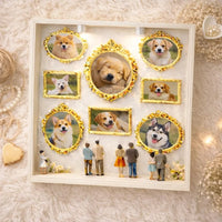 Maßgefertigte Mini-Museums-Schattenbox für Haustiere