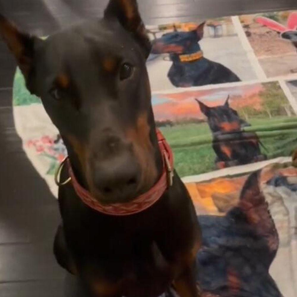 Couverture personnalisée avec portrait de chien, noms individuels et couverture photo